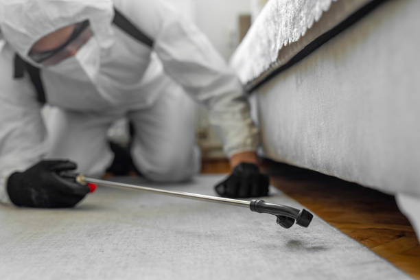 Professional Bed Bug Control technician working in South Lancaster, MA